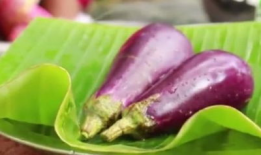 茄子视频污,揭秘网络短视频的“污”现象